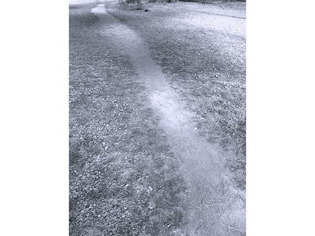 岡本康明 歩く04